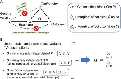 Modeling of horizontal pleiotropy identifies possible causal gene expression in systemic lupus erythematosus